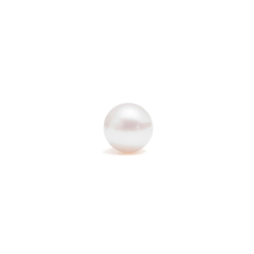 14k gold Akoya pearl single earring - LODAGOLD