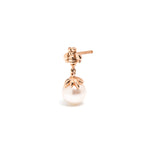 14k gold Pearl bee drop single earring - LODAGOLD